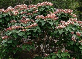 zagruzheno34 — kopiya9